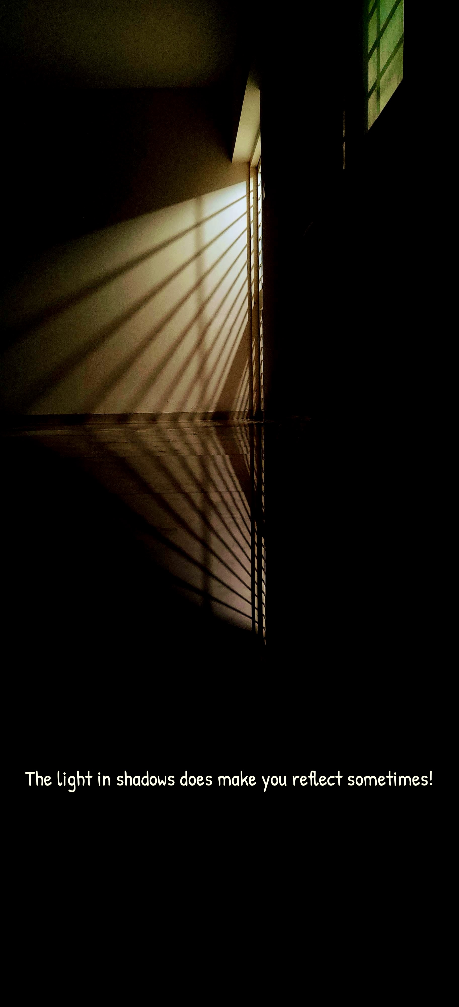 Light and shadows reflected across a dark interior