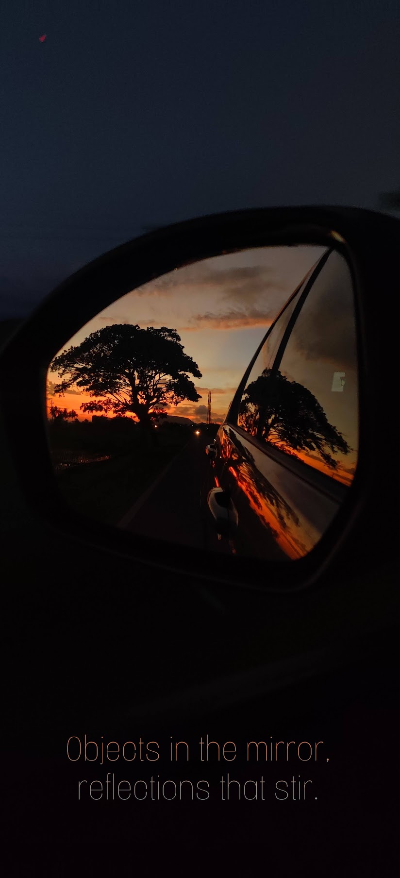A sunset and tree reflected in a car mirror